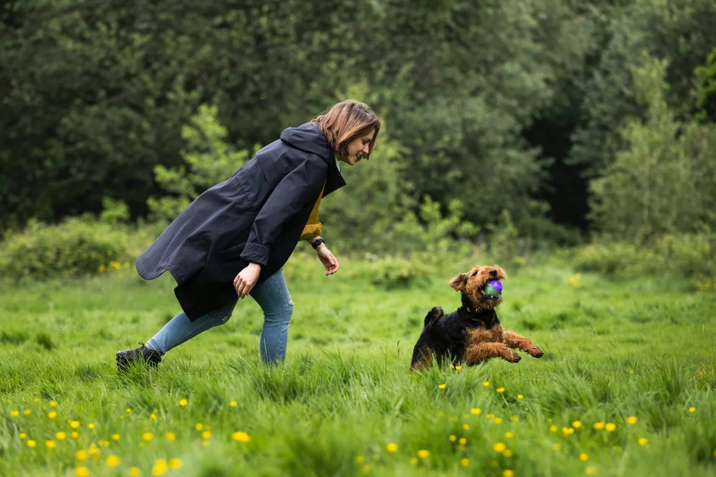 Off-lead work in a safe open space